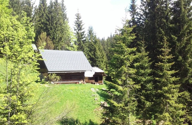 Holzhuette- Bohinj, Pokljuka