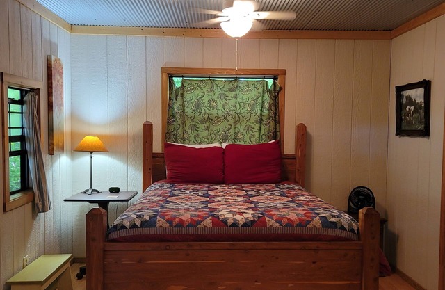 Homestead Cabin in the Ozarks, w/a view!