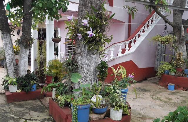 Hostal la Campiña
