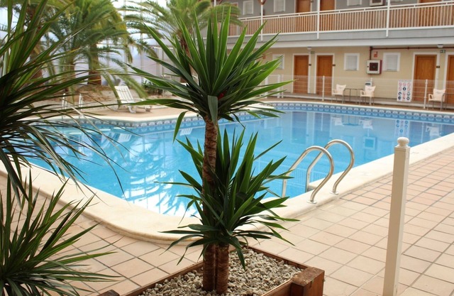 Hotel Algorfa
