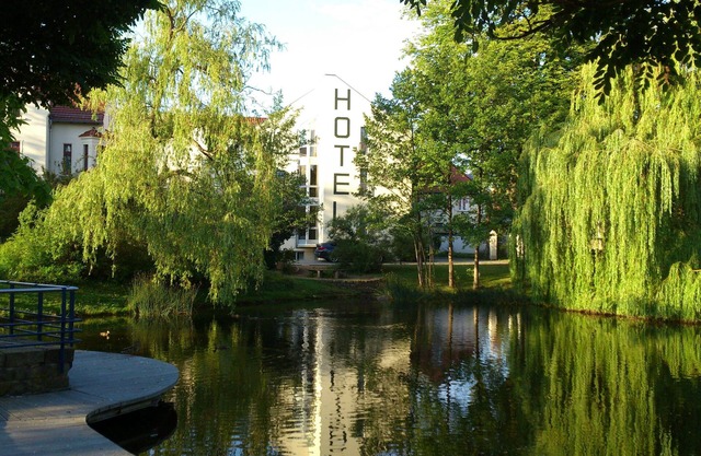 Hotel Am Kurpark Bad Salzelmen