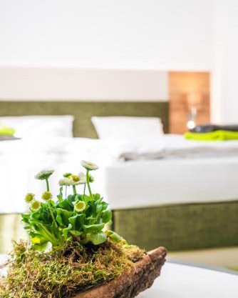 Hotel-Pension Treppengasse Nr 6