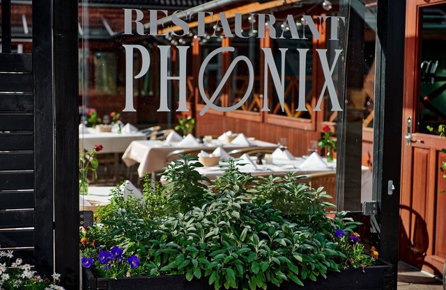 Hotel Phønix