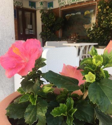 Hotel PINO LORICATO