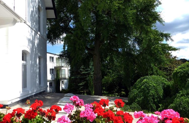 Hotel Villa Luise