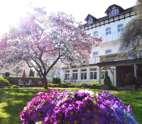 Hotel Villa Luise