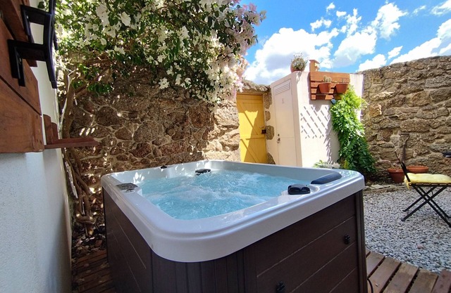 House in granite stone with a century old in center Portugal. Open Space.
