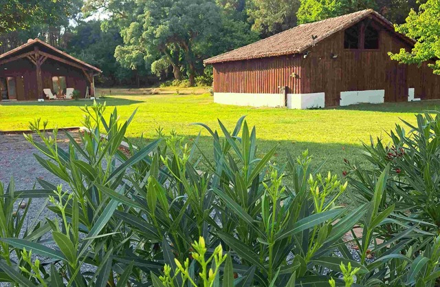 House in Léon, swimming pool, sports and games room, large garden, 5 minutes from the lake