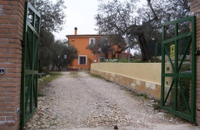 House in the countryside surrounded by olive trees, with garden and terrace