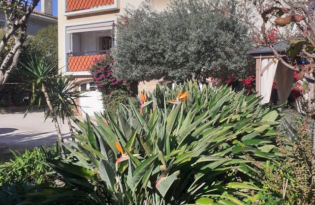 Hyères town center Large apartment (6 pers)
