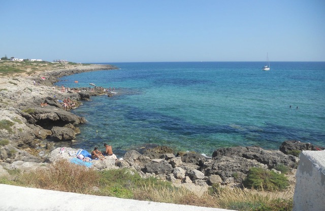 Ideal for families, groups of friends, animal lovers, the sea and the green
