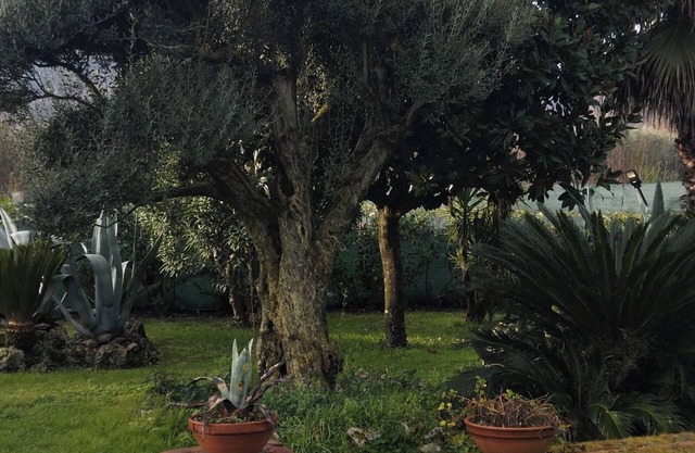 Il giardino di Eolo