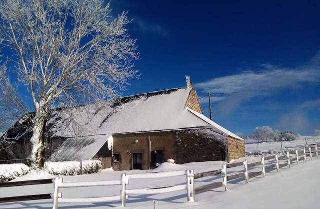 Independent cottage in the heart of the Massif du Sancy
