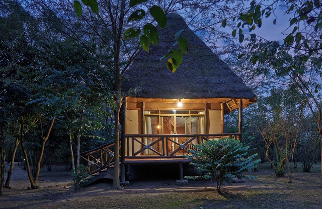 Ishasha Jungle Lodge