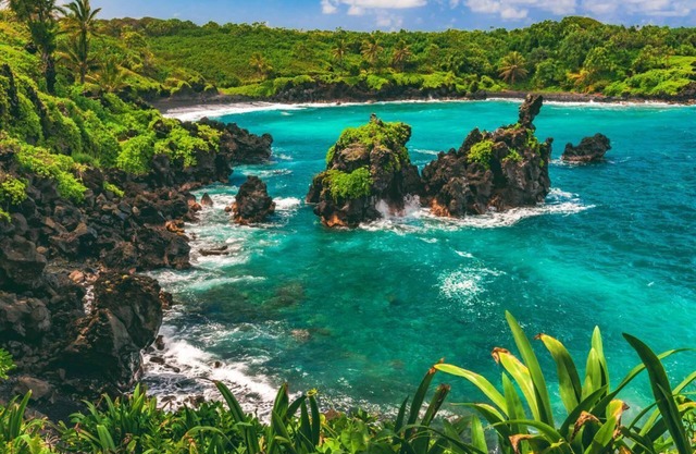 Island Paradise! Three Gorgeous Units, Pool, Pet-Friendly