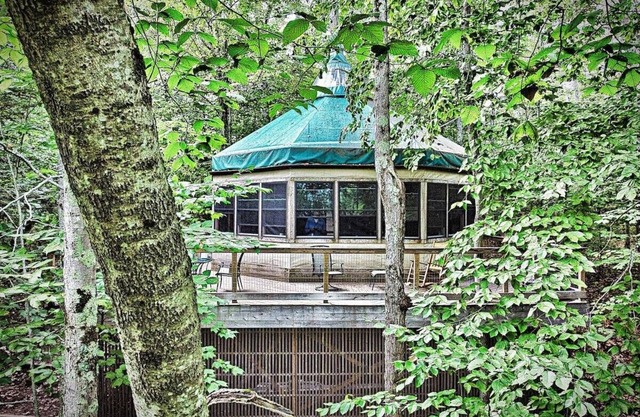 Island Tree House: Lake Front, Kayaks, & Fire Pit