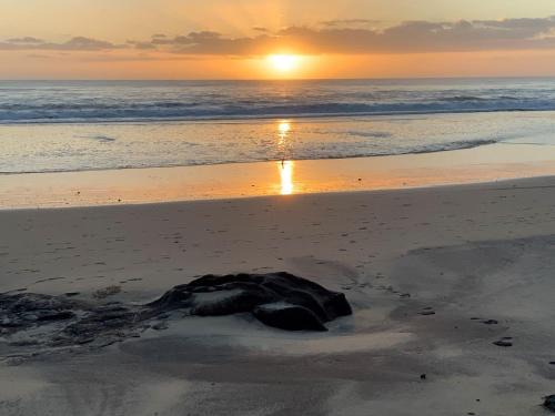 'Jemingar's Place' 207 - Rainbow Beach