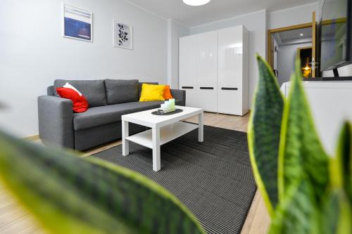 JJ Apartment Zator Energylandia