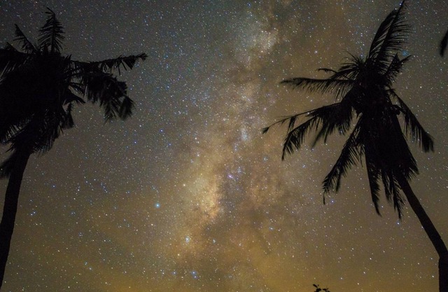 Juhu Farmstay
