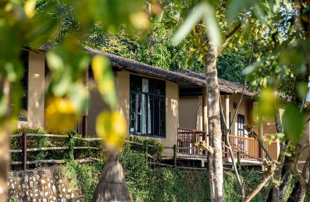 Jungle Villa Resort