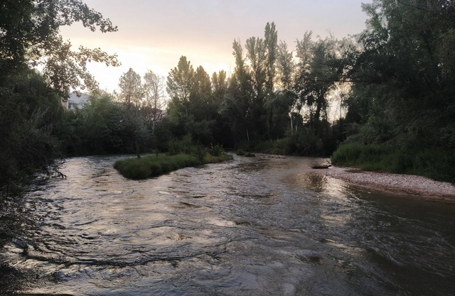 Junto al Guadalquivir B