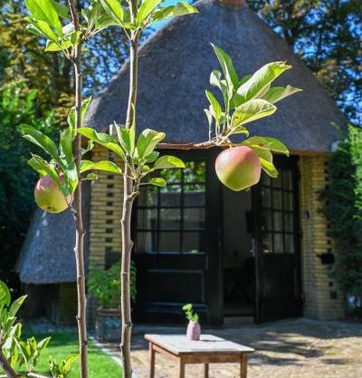 Kleine Buur