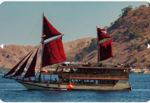 Komodo Island Tour 3 Days with Best Komodo Tour