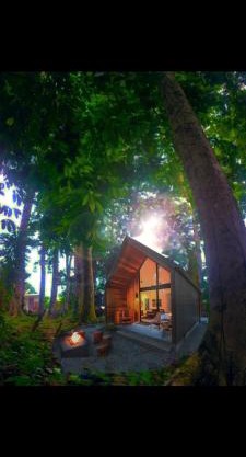 Kono Rainbow Finca paraíso