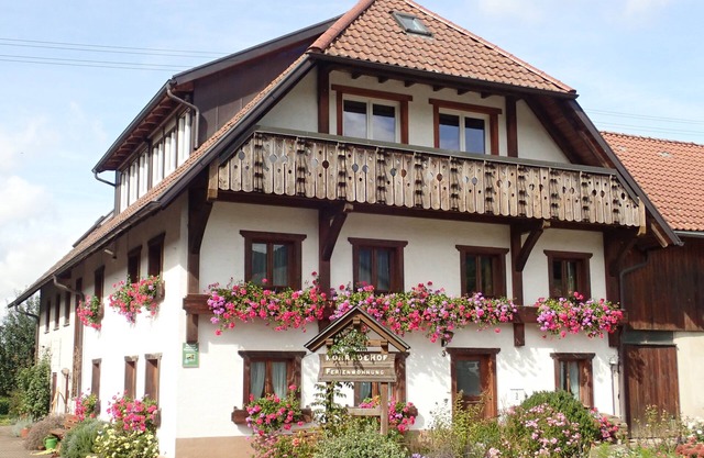 Konradehof - Holiday apartment "Vogesenblick"