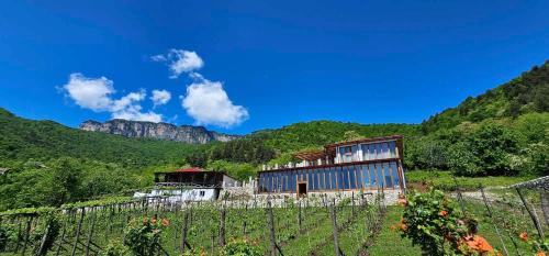 Korenishuli Veranda Wine Hotel