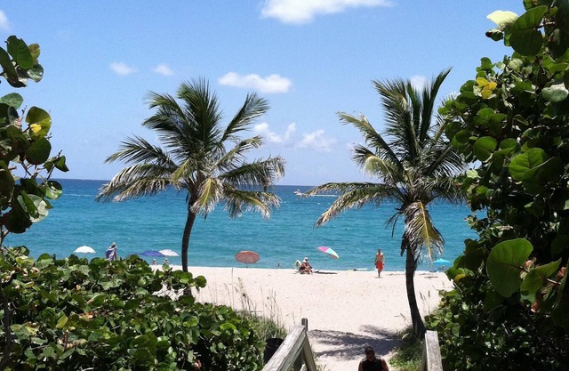 KOZY COTTAGE - Sept openings! 2.7 m from beach, UVC clean,