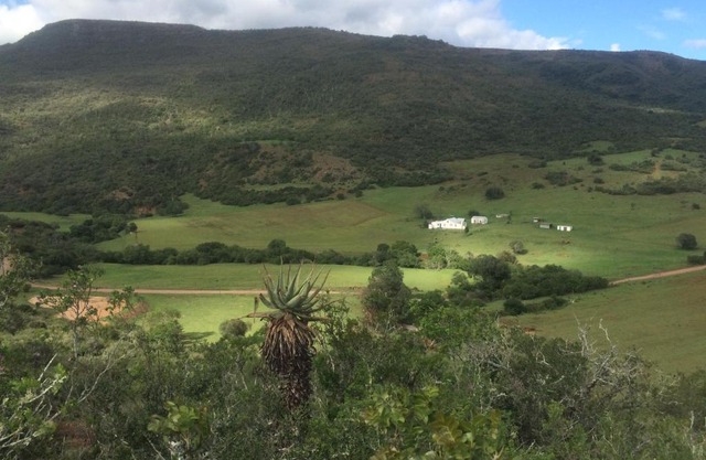 Kromrivier Farm Stays & B&B Near Addo Elephant Park