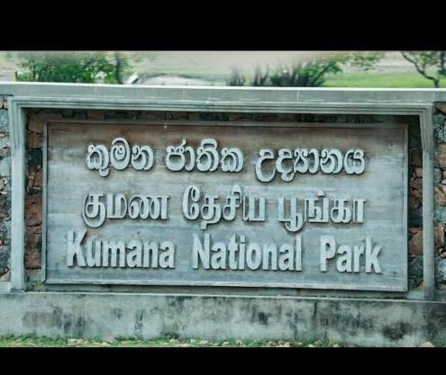 Kumana national park