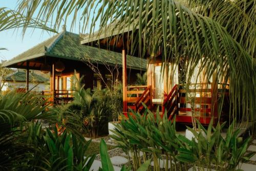 Kura Kura House