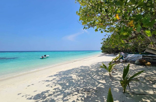 Kuri Himandhoo Inn