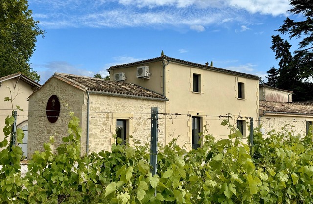 L'Eperonnette among the vineyard with outdoor pool near St. Emilion and Bordeaux