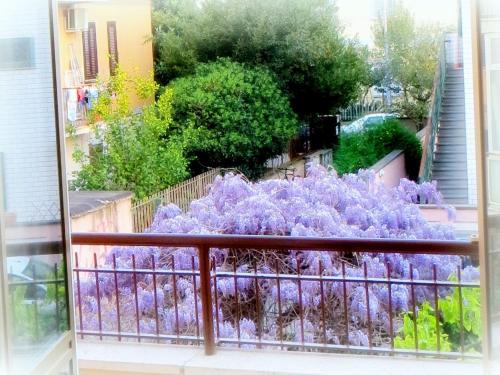 La Casa Di Eva 