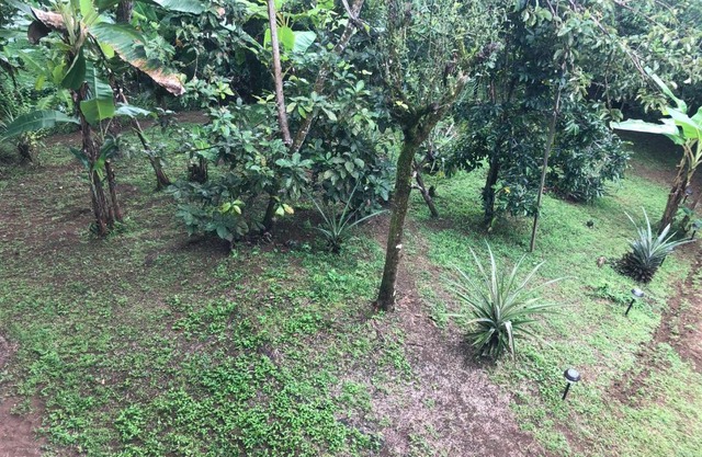 La casa