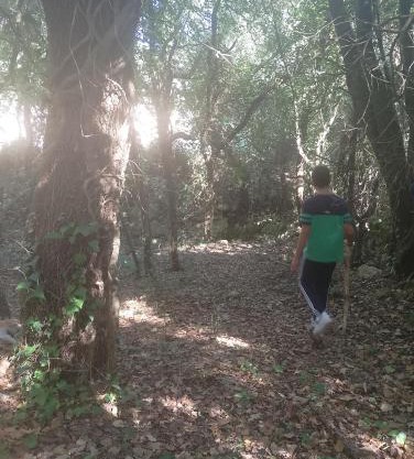 La Casetta Nel Bosco Delle Nereidi