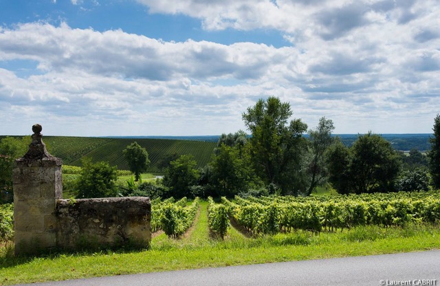 La Ligassonne, Grande Maison, Calme, 25 km from Bordeaux