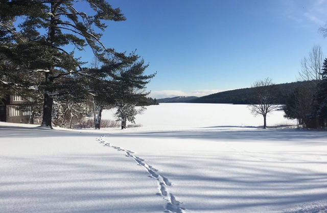 Lake Fanny Hooe Resort-2 Bed With Balcony #12 1 Bedroom Hotel Room by RedAwning