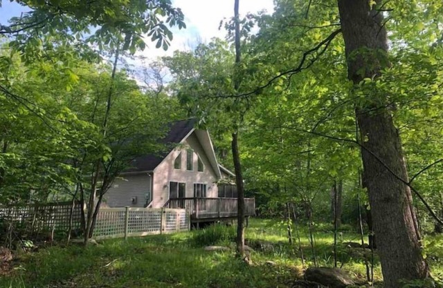 Lake House in the Forest