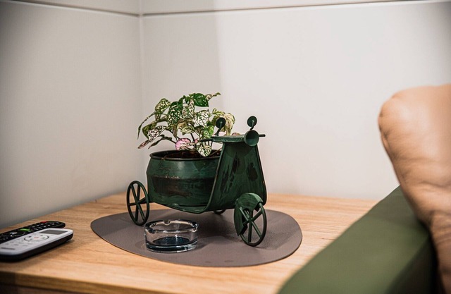 Lake Serenity Premium Mobile Homes-2Bedroom 15/022