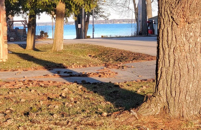 Lakeview/Gazebo/Firepit/Kayak/SUP, A/C Recliner/Lake Access/Trails
