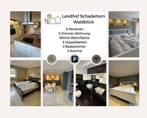 Landhof Schadehorn "Waldblick"