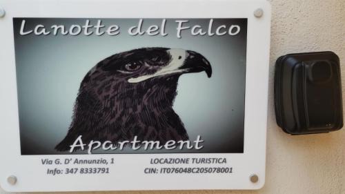 Lanotte del Falco