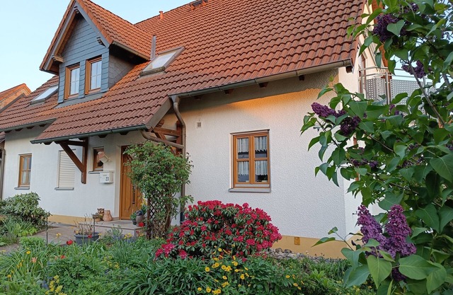 large and quiet apartment in the heart of Upper Franconia