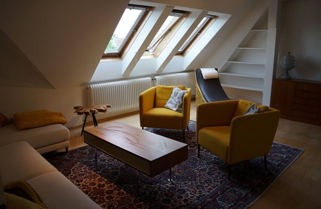 Large attic apartment near the Danube wetlands