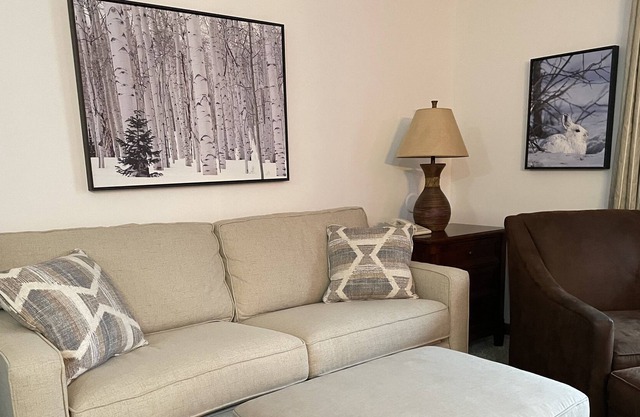 Large Studio-Full Kitchen-In Village-On slopes. New Furniture & Carpet 2022