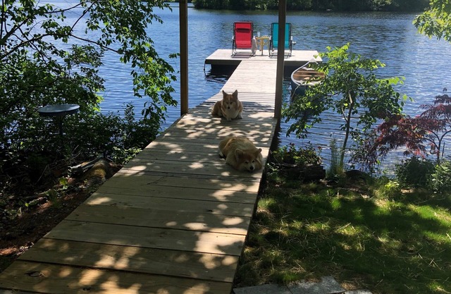 Lazy Days - Sunny Dock - Great Swimming & Fishing - close to Camden